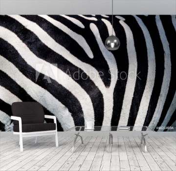 Bild på Zebra pattern